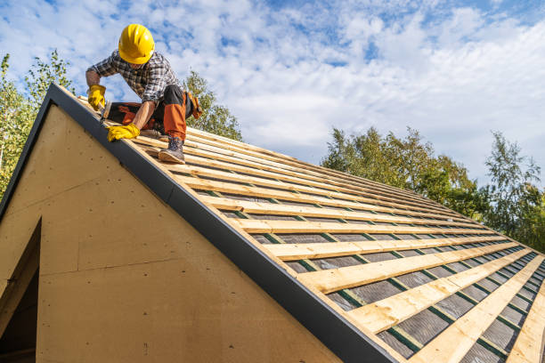 Best Roof Gutter Cleaning  in St Bernard, OH